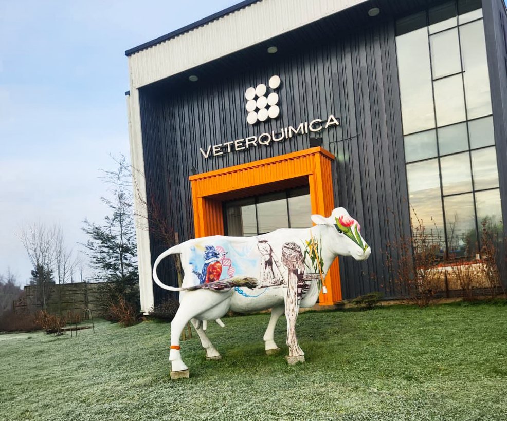Conoce a Eva: La vaca de Veterquimica